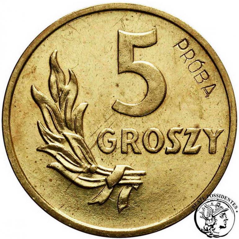 Polska PRÓBA mosiądz 5 groszy 1949 st.1-/2+