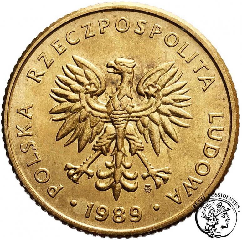 Polska PRÓBA mosiądz 10 złotych 1989 st.1