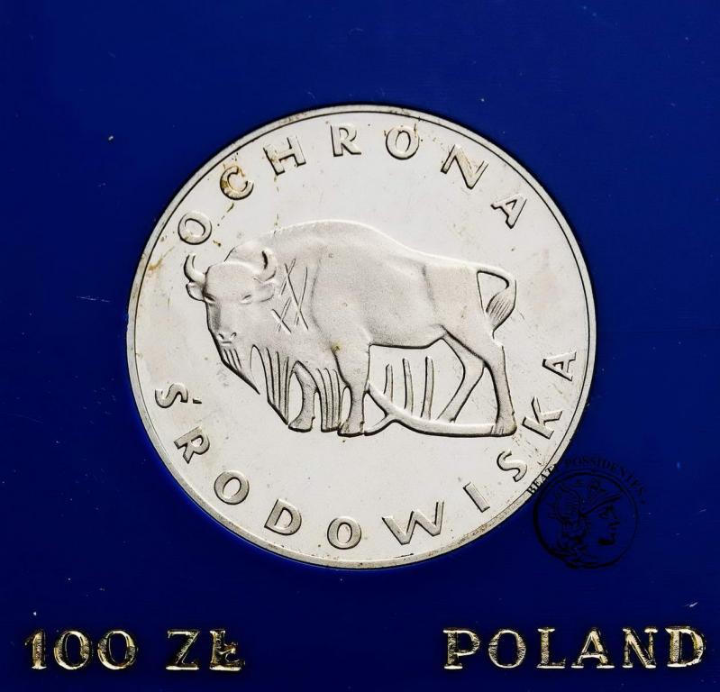 Polska PRL 100 złotych 1977 Żubr st.L