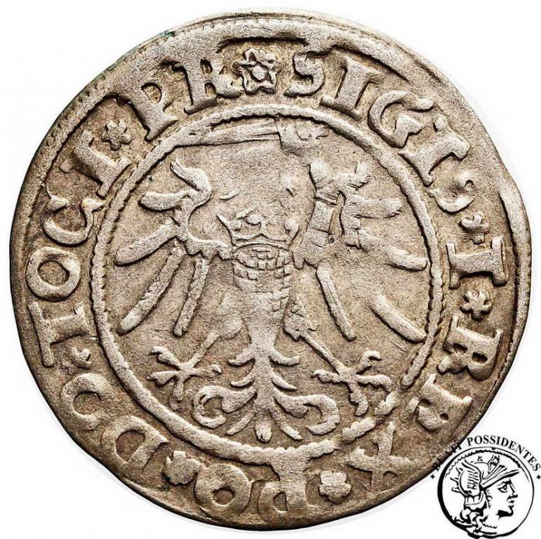 Polska Zygmunt I Stary grosz 1535 Elbląg st.3+