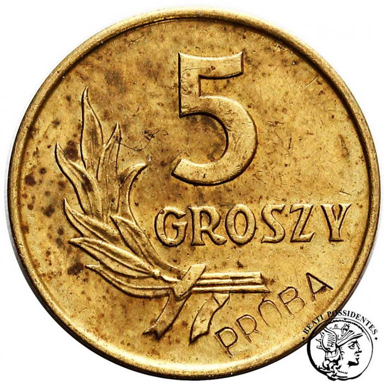 Polska PRL PRÓBA mosiądz 5 groszy 1958 st.1-