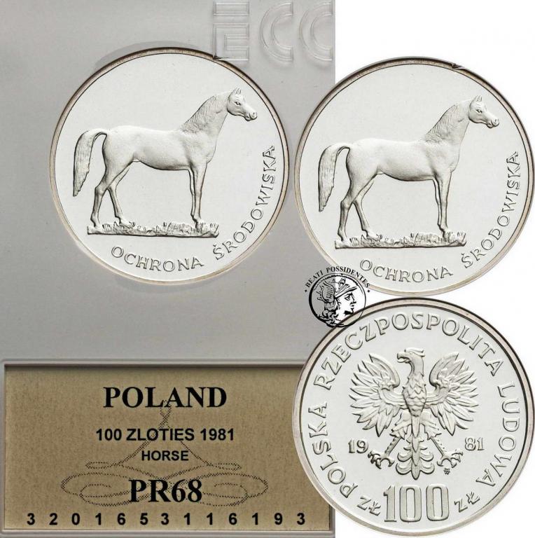 Polska PRL 100 złotych 1981 Koń GCN PR68