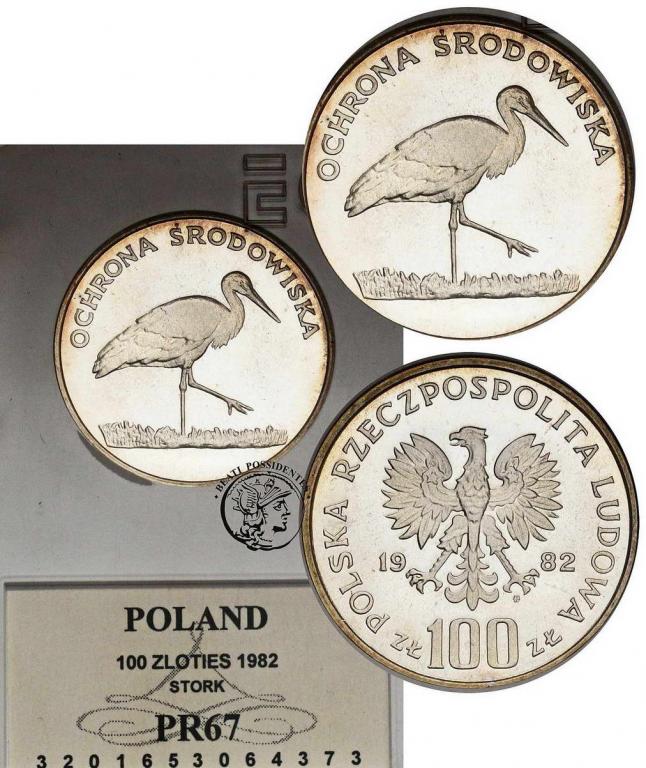 Polska PRL 100 złotych 1982 Bocian GCN PR67