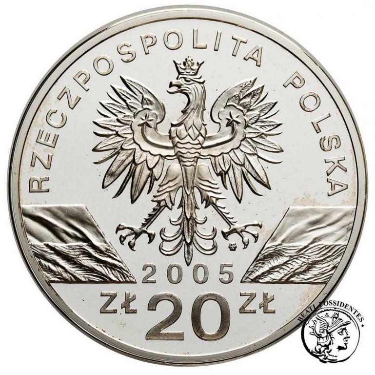 Polska III RP 20 złotych 2005 puchacz st.L