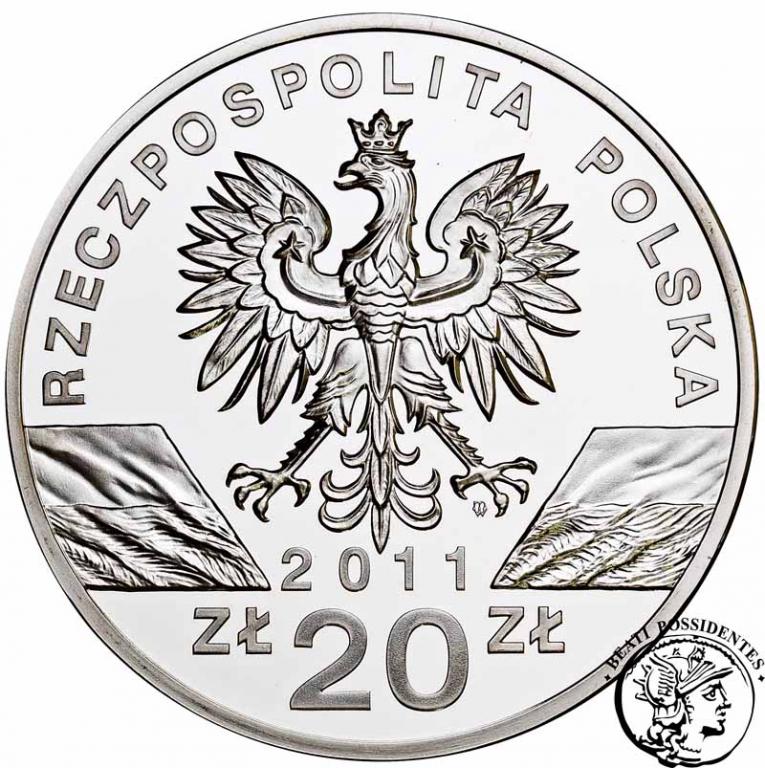 Polska III RP 20 złotych 2011 Borsuk st.L