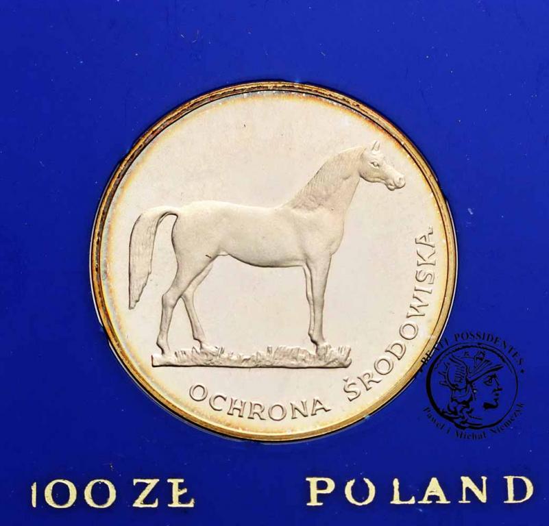 Polska PRL 100 złotych 1981 Koń st. L-