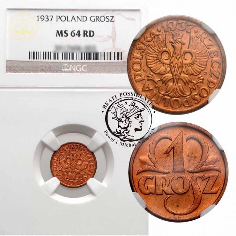 Polska II RP 1 grosz 1937 NGC MS64 RD
