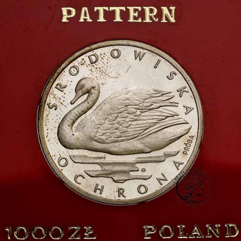 Polska PRÓBA Srebro 1000 złotych 1984 Łabędź st.L-