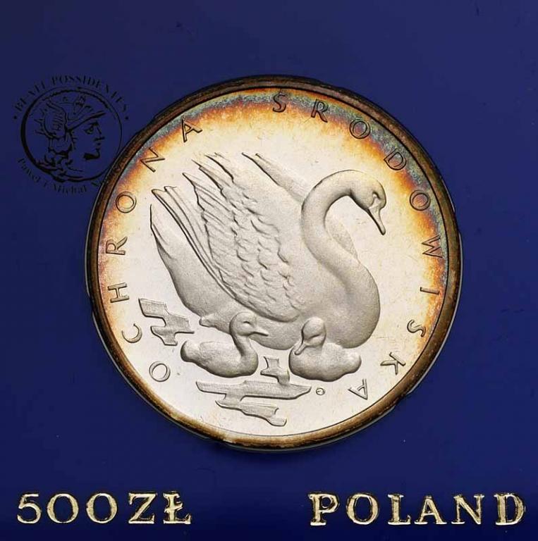 Polska PRL 500 złotych 1984 łabędź st.L