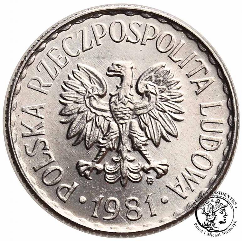 Polska PRL 1 złoty 1981 st.1
