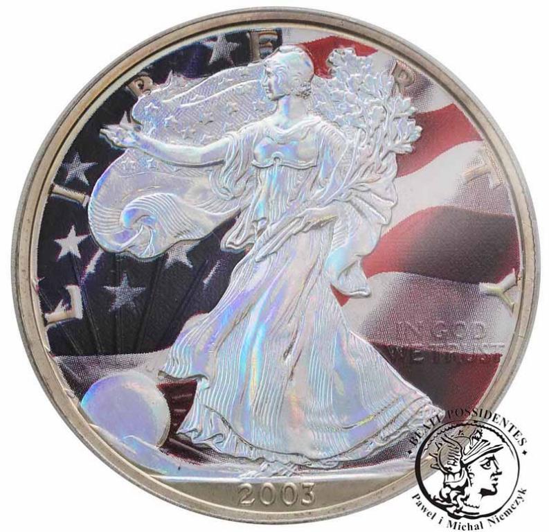 USA 1 dolar 2003 silver eagle uncja srebra st. 1