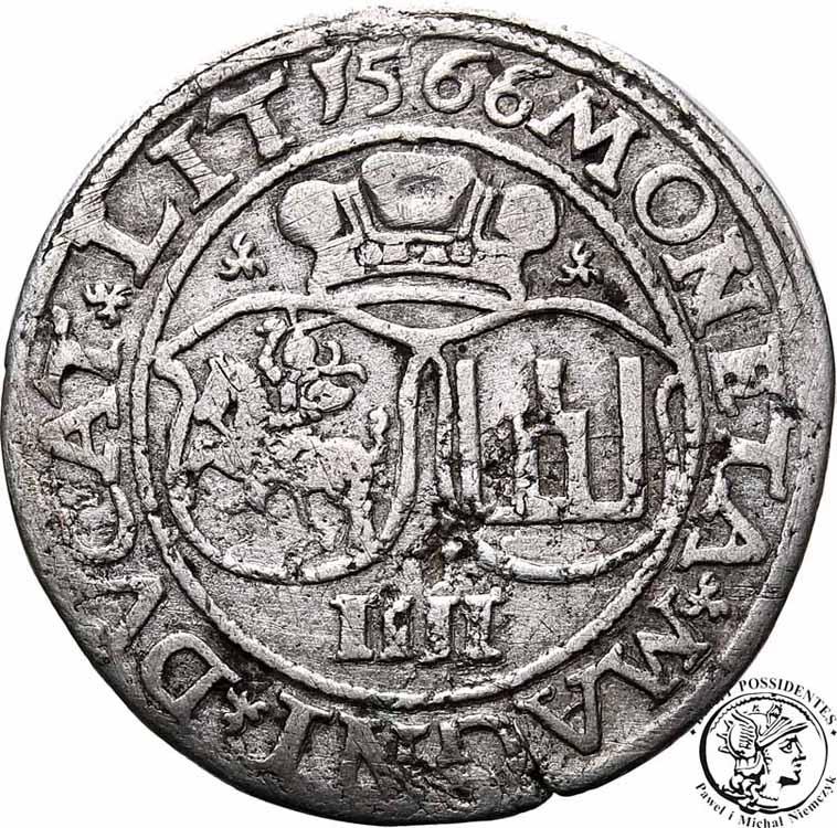 Polska Zygmunt II August czworak 1566 Wilno st.3