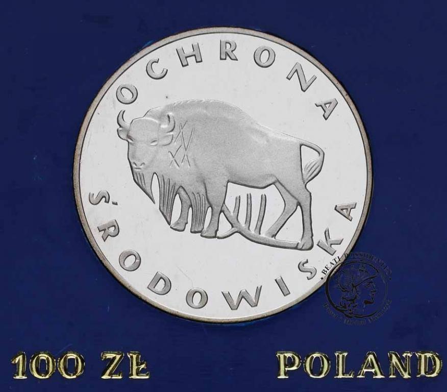 Polska PRL 100 złotych 1977 Żubr st.L-