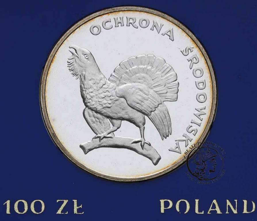 PRL 100 złotych 1980 Ochrona - Głuszec st.L