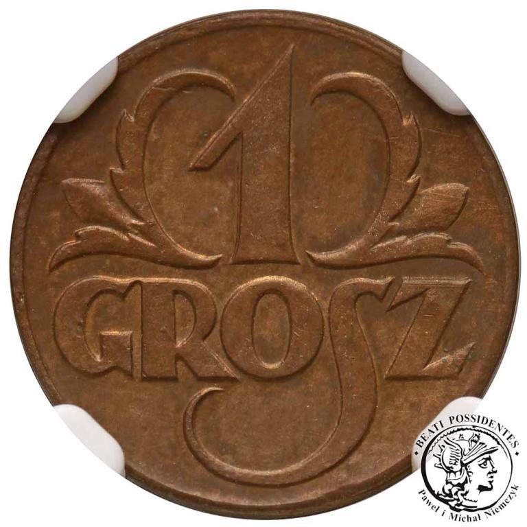 PRÓBA brąz 1 grosz 1923 rewers NGC AU DETAILS
