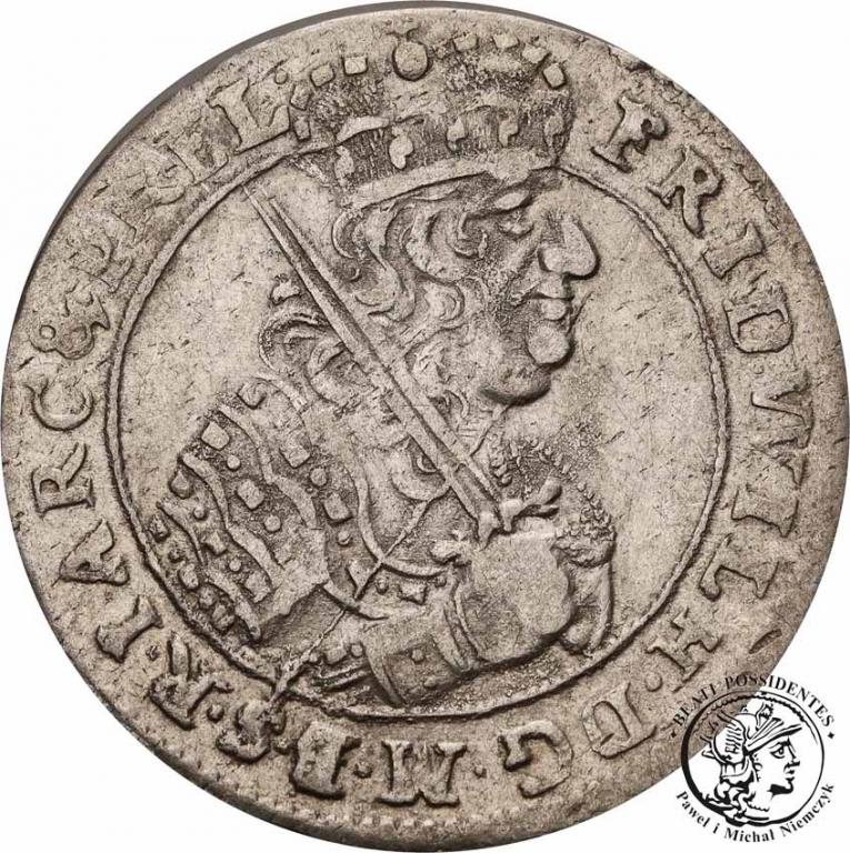 Prusy Książęce Wilhelm ort 1684 Królewiec st. 3+