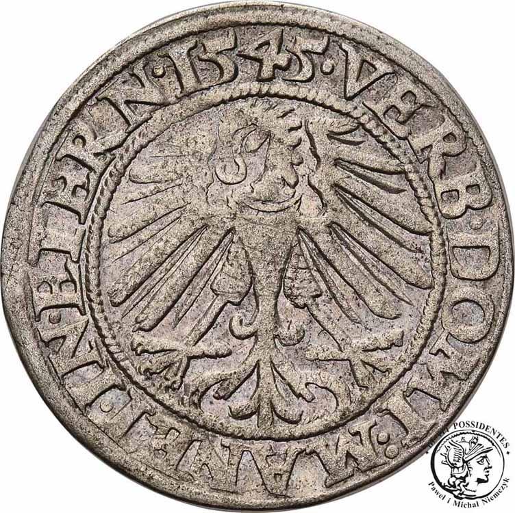 Polska Śląsk grosz legnicki 1545 Fryderyk II st. 3
