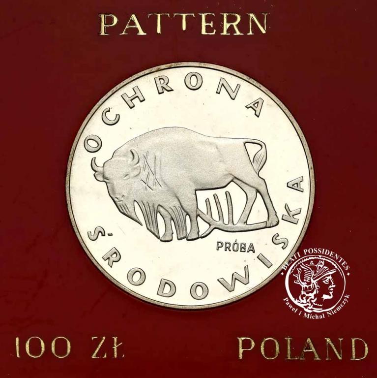 PRÓBA Srebro 100 złotych 1977 Żubr Ochrona st.L-