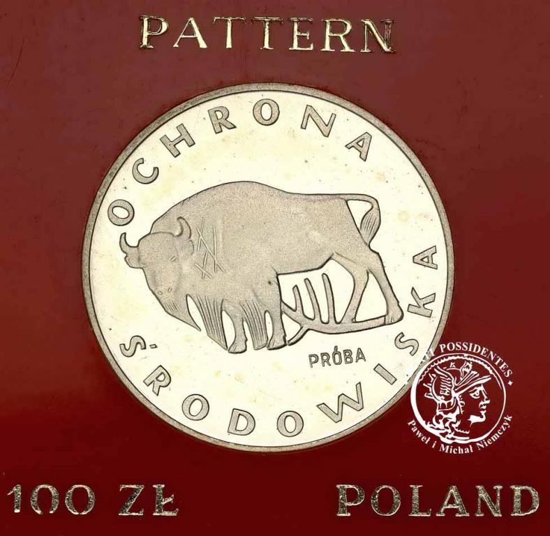 PRÓBA Srebro 100 złotych 1977 Żubr Ochrona st.L-