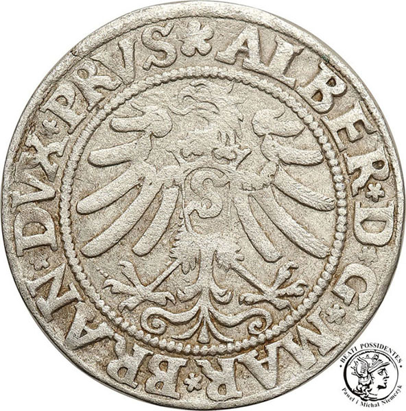 Polska Prusy Książęce Albrecht grosz 1533 st.3