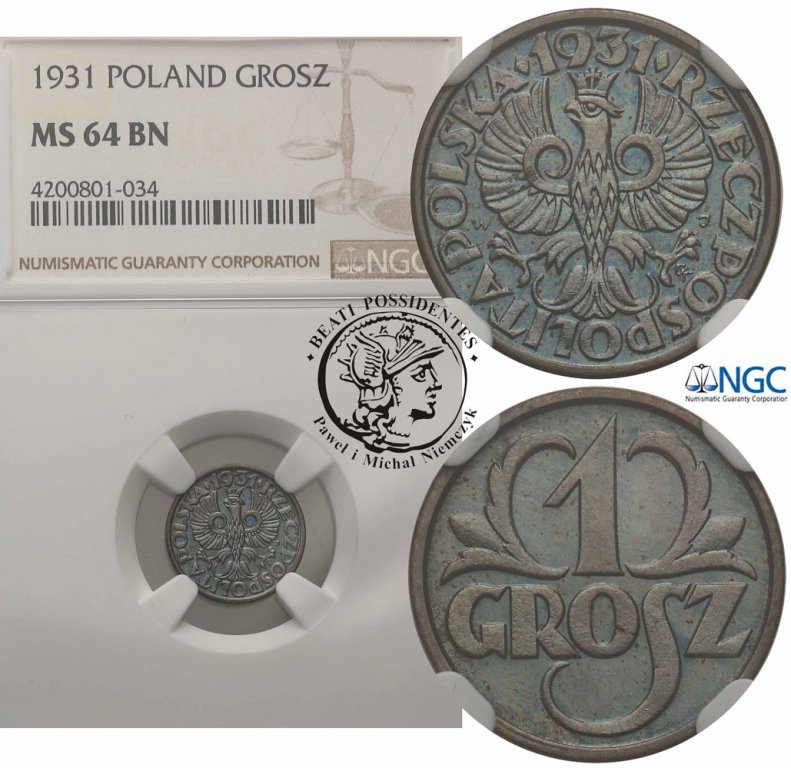 Polska II RP 1 grosz 1931 NGC MS64 BN