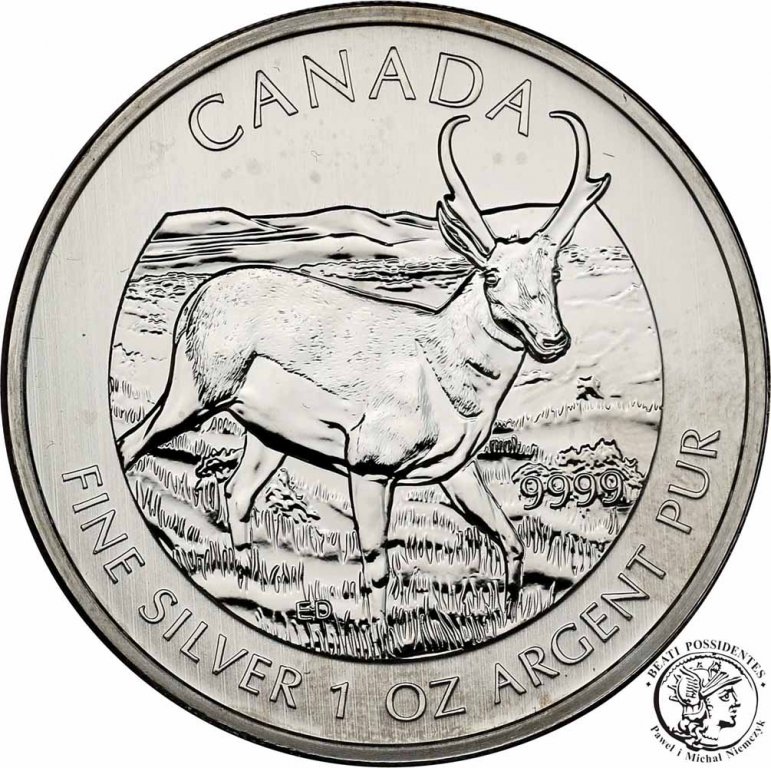 Kanada 5 dolarów 2013 jeleń (1 Oz Ag) st. L