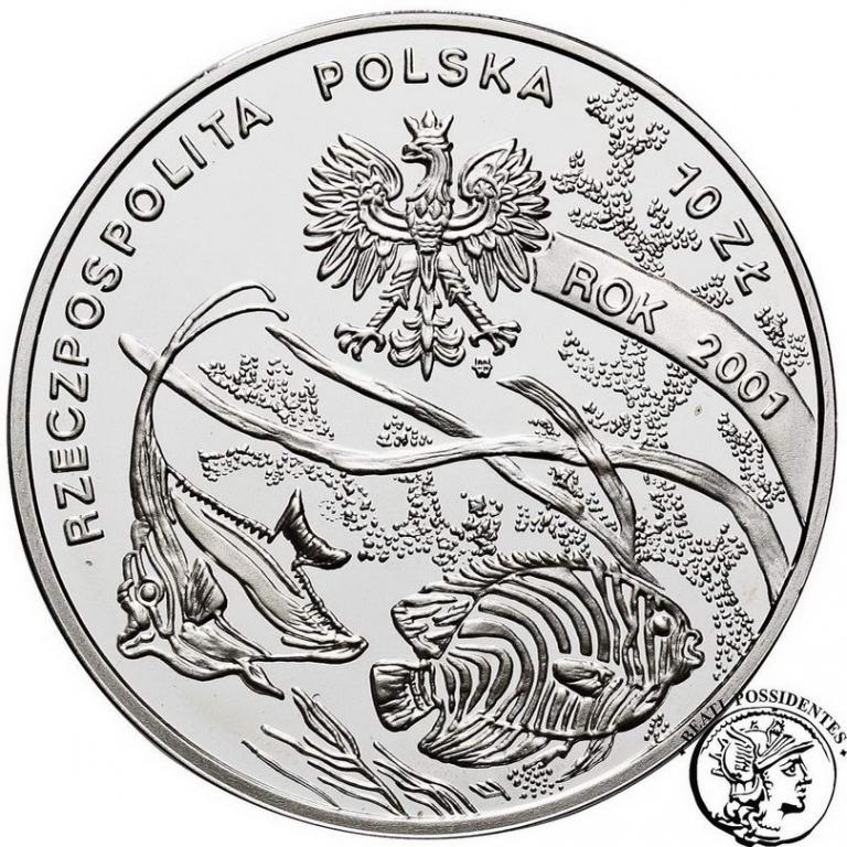 III RP 10 złotych 2001 Michał Siedlecki st.L