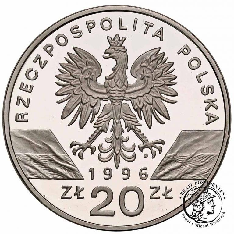 20 złotych 1996 Jeż st. L