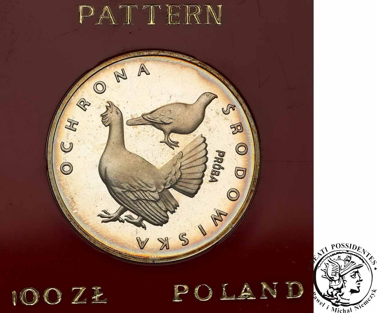 PRÓBA Srebro 100 złotych 1980 Głuszce st.L-