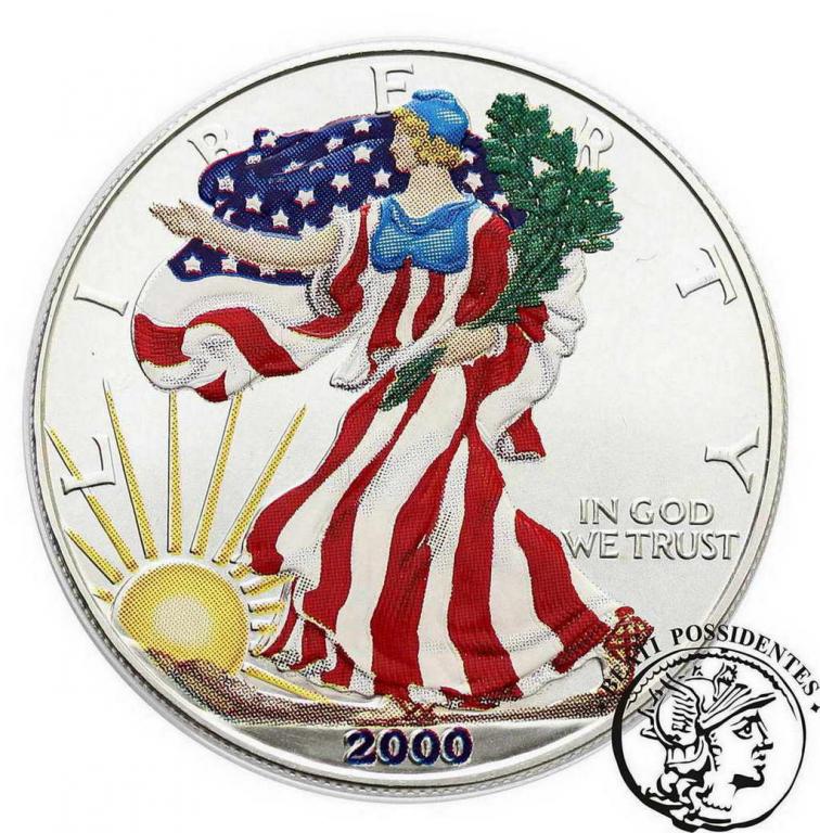 USA 1 $ Dolar 2000 malowanka srebro st.1/1-