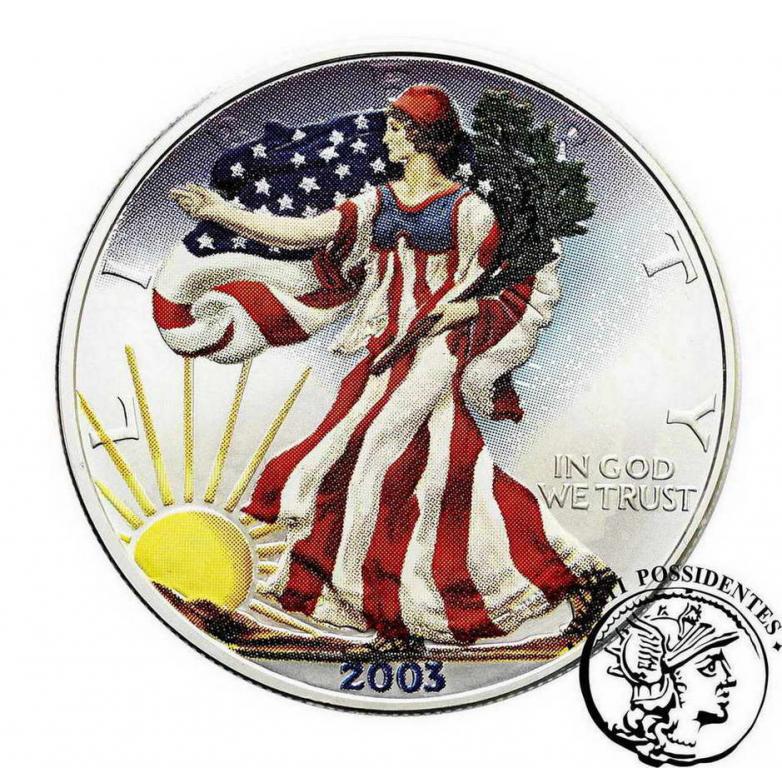 USA 1 $ Dolar 2003 malowanka srebro st.1/1-