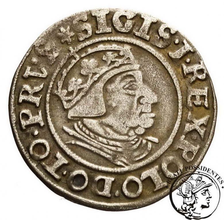 Zygmunt I Stary grosz gdański 1539 st. 3
