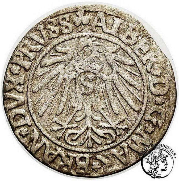Albrecht grosz lenny pruski 1541 st.3