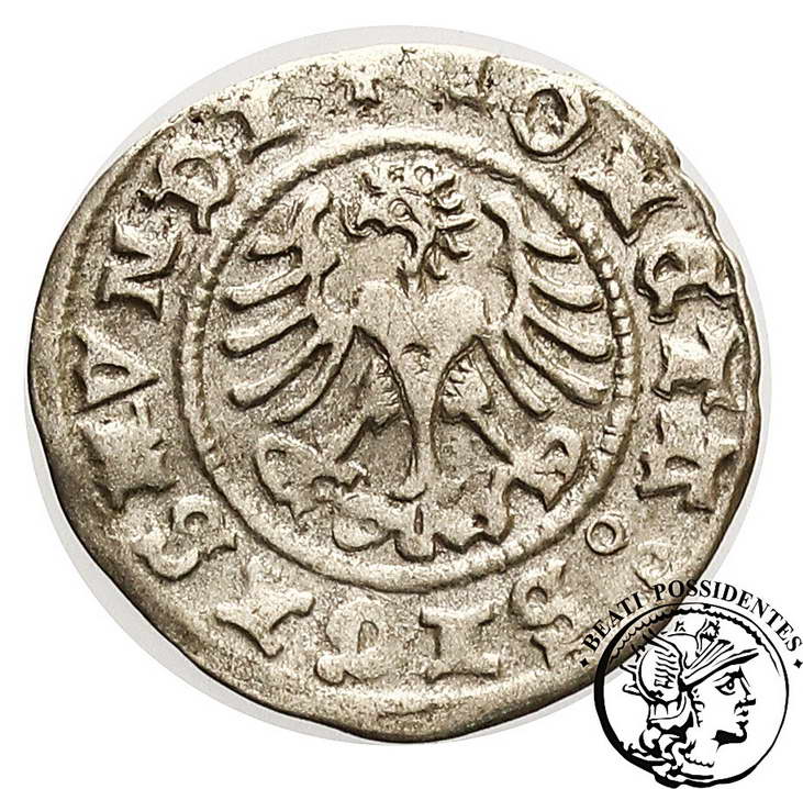 Zygmunt I Stary półgrosz koronny 1508 st.3+