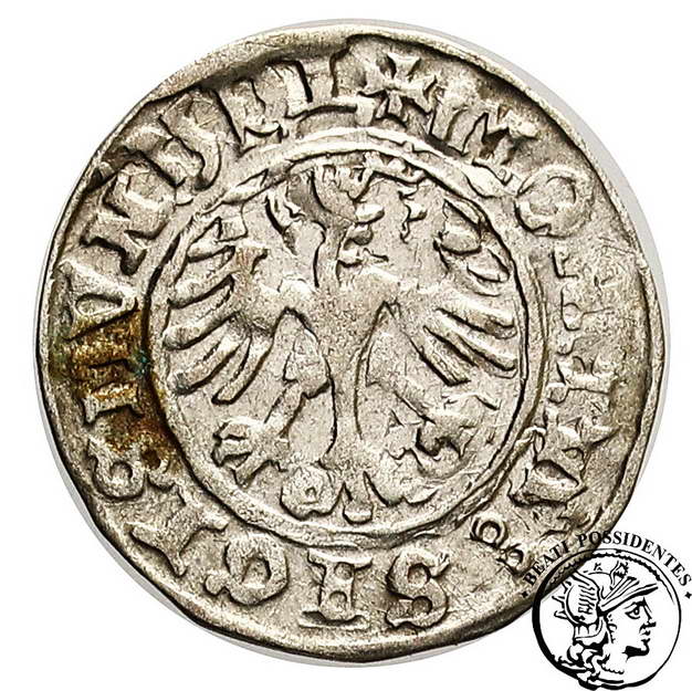 Zygmunt I Stary półgrosz koronny 1511 st.3