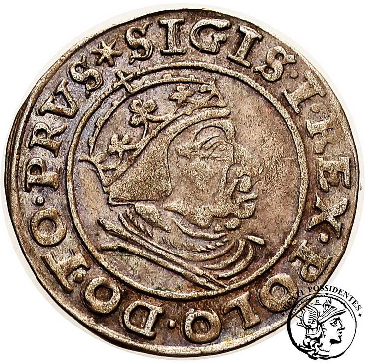 Zygmunt I Stary grosz gdański 1539 st. 3+