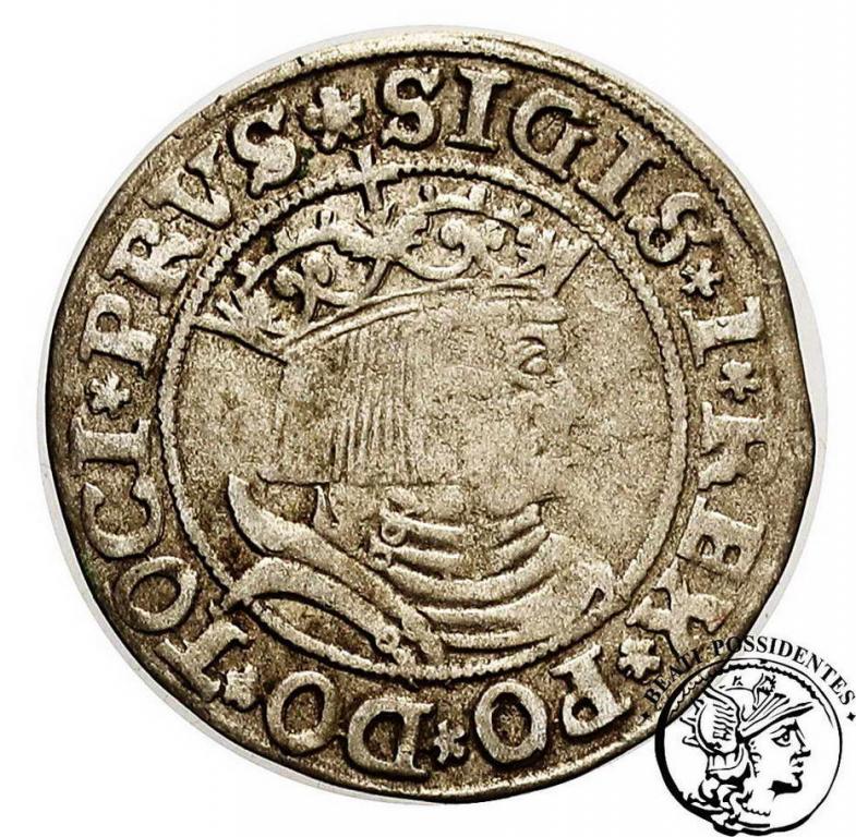 Zygmunt I Stary grosz pruski 1531 st. 3