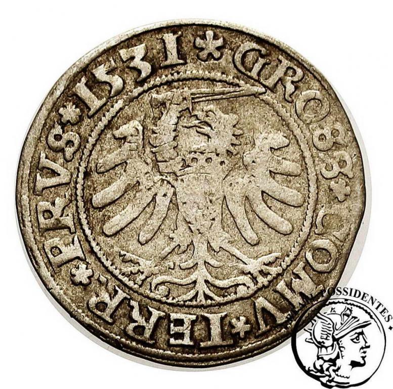 Zygmunt I Stary grosz pruski 1531 st. 3