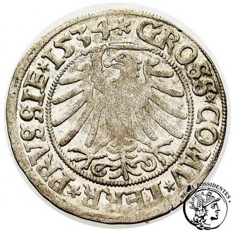 Zygmunt I Stary grosz pruski 1534 st. 3+