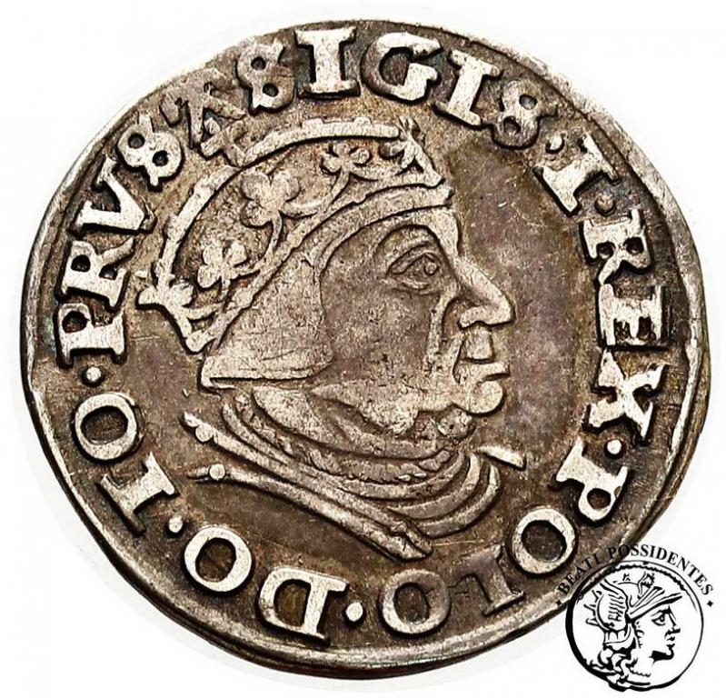 Zygmunt I Stary trojak gdański 1540 st. 3+