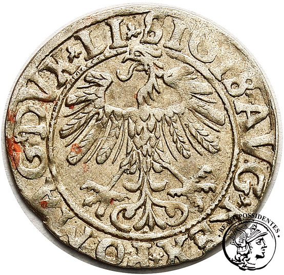 Zygmunt II August półgrosz litewski 1558 st3+/2-