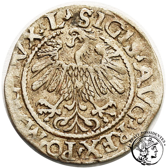 Zygmunt II August półgrosz litewski 1559 st. 3