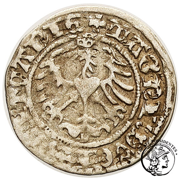 Polska Zygmunt I Stary półgrosz lit. 1514 st.3
