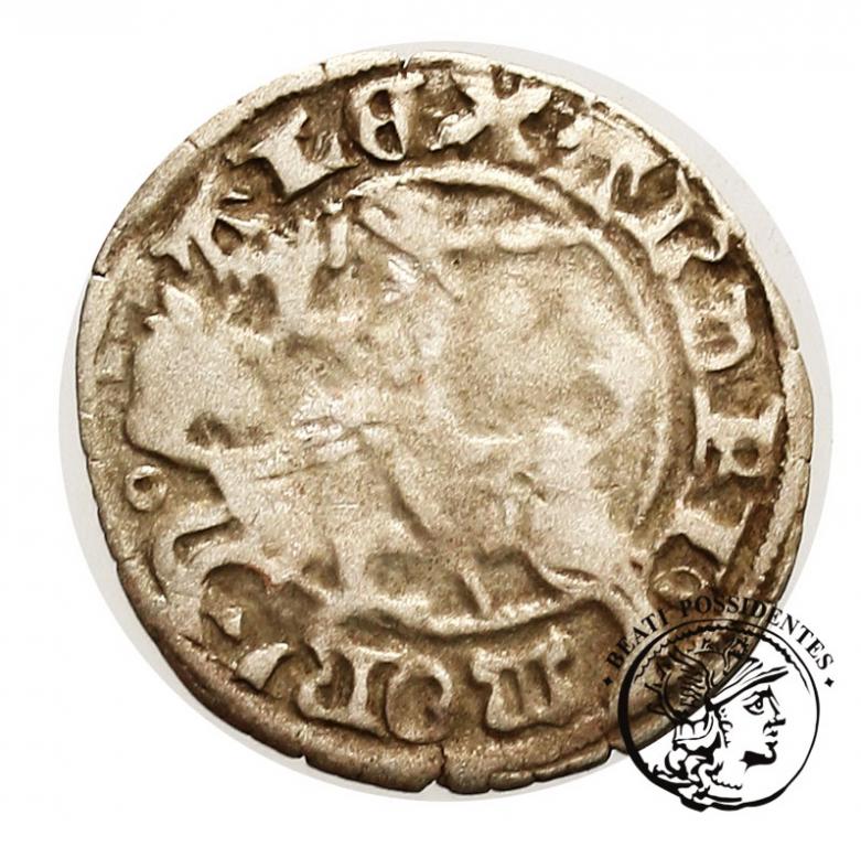 Alexander 1501-1506 półgrosz lit st. 3
