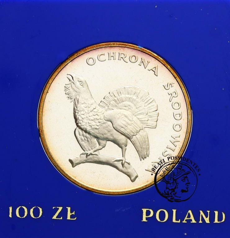 PRL 100 zł 1980 Głuszec st. L
