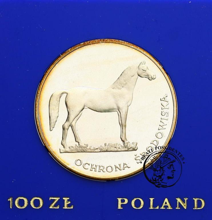 PRL 100 zł 1981 koń st. L