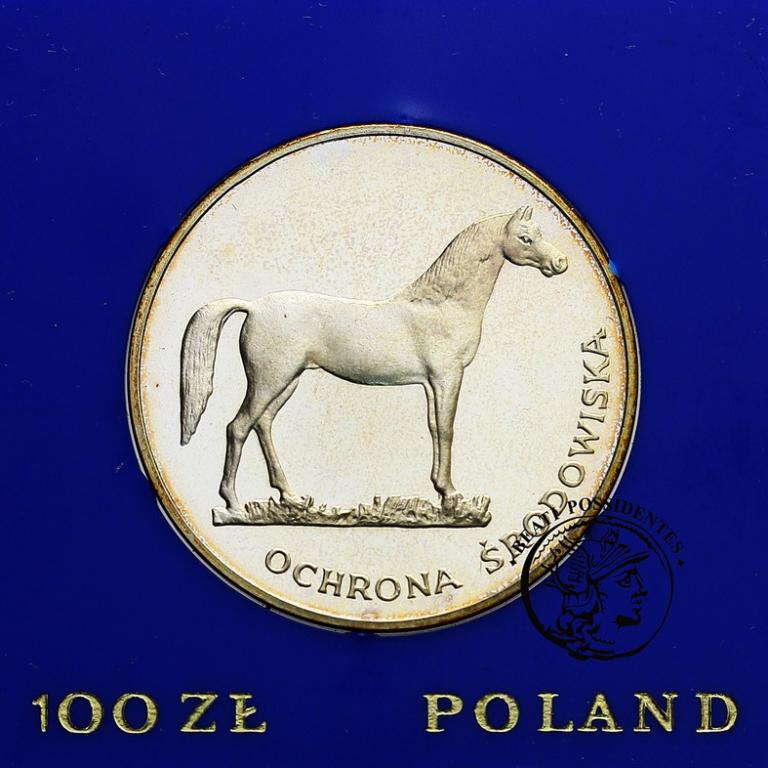 Polska PRL 100 zł 1981 koń st. L