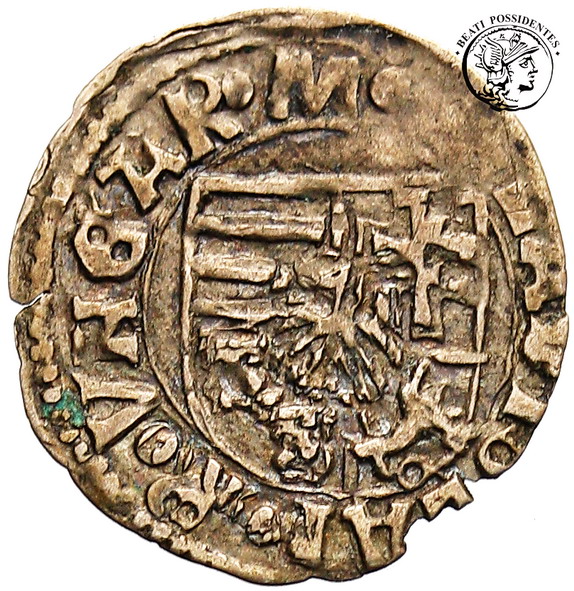 Władysław II Jagiellończyk denar 1490-1516 st.3