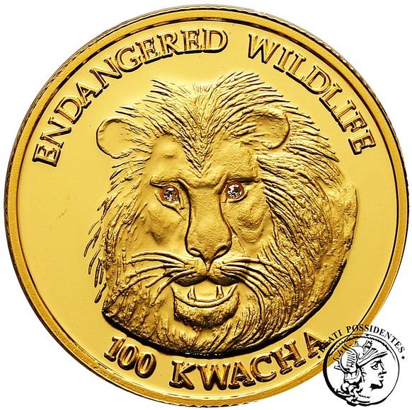 Malawi 100 Kwacha 2005 lew z brylantami st. L