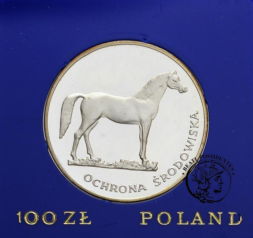 PRL 100 zł 1981 koń st. L-